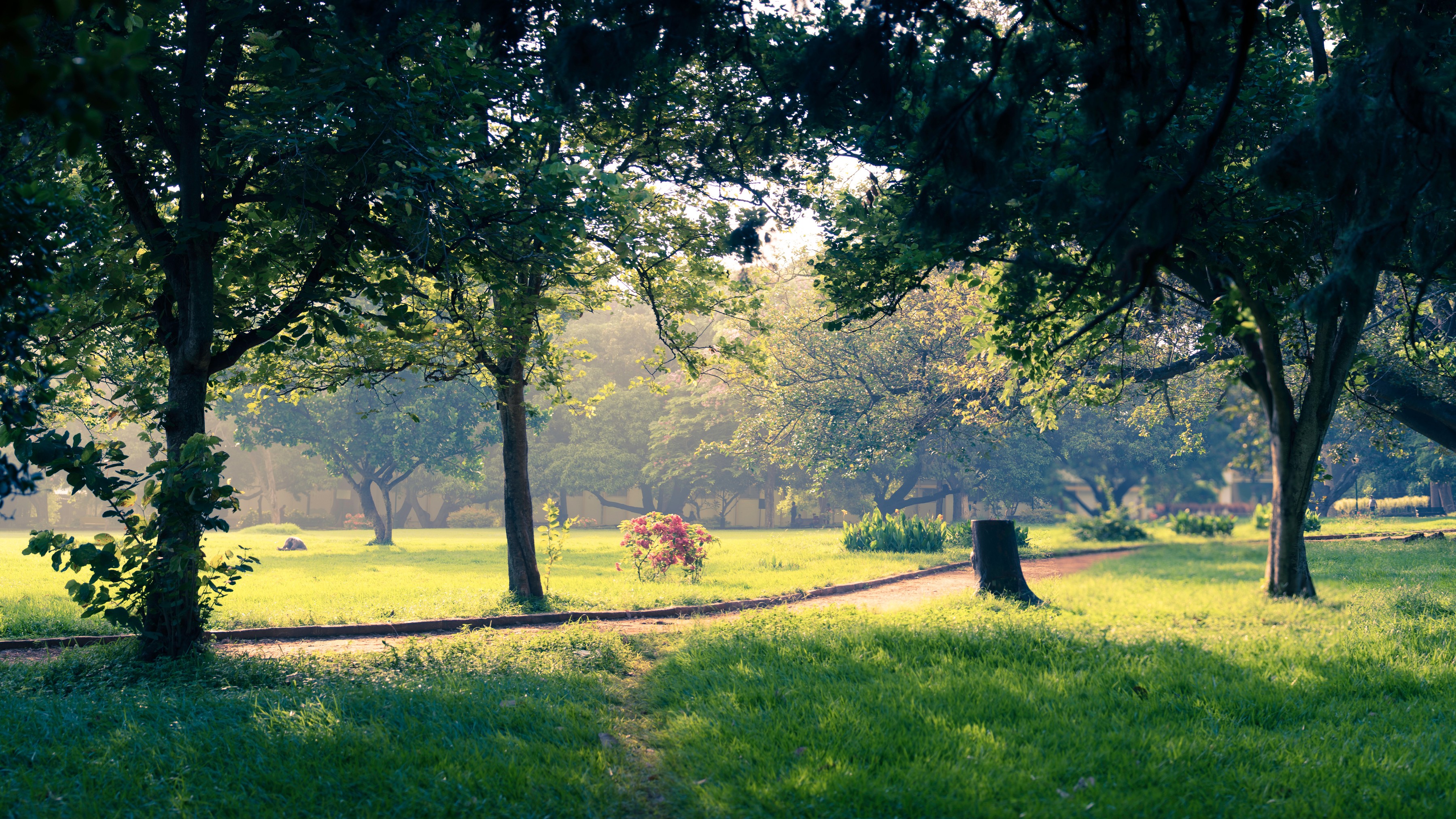 Parks should not be spaces of exclusion