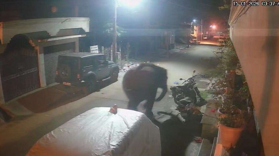 Wild elephant enters Karnataka's Gundlupet town; damages motorbike