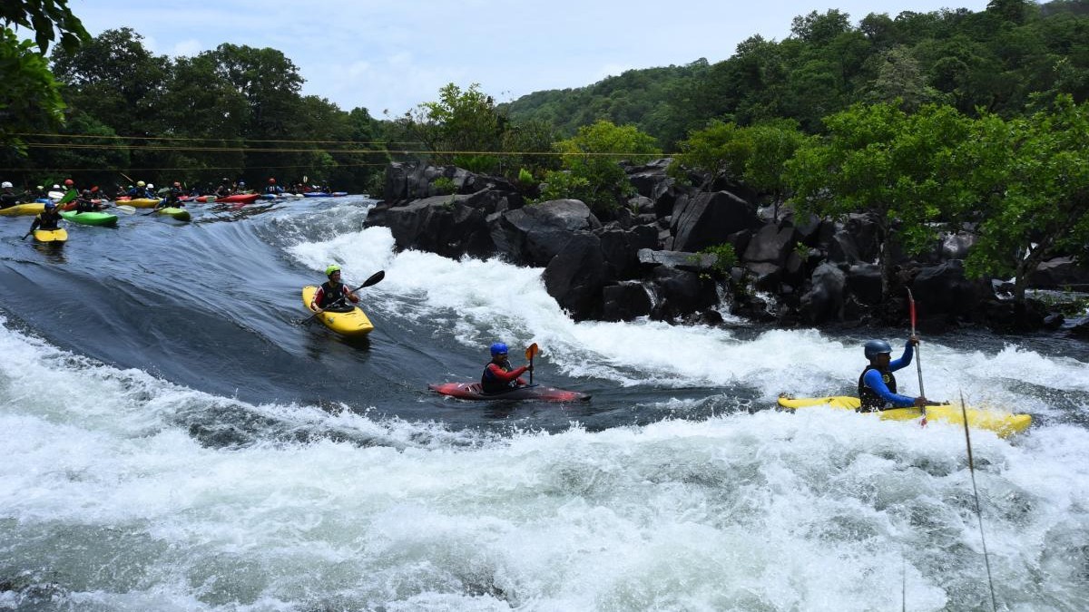 Karnataka’s ecotourism sector seeks scientific review & phased resumption of wildlife safaris