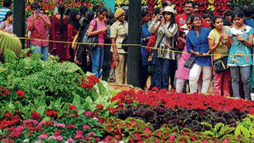 Over Rs 21 lakh ticket sales on day 1 of Lalbagh flower show