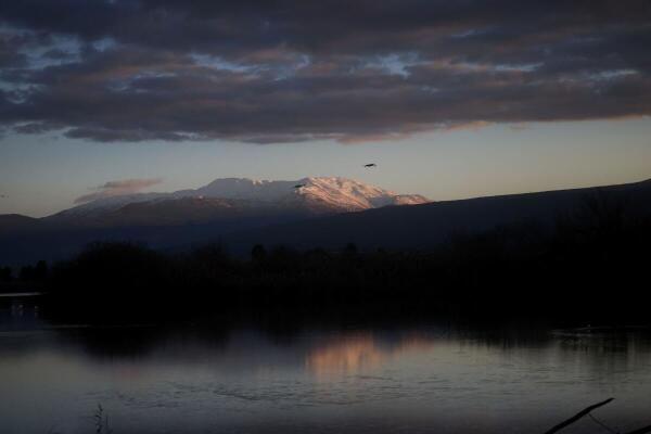 Common cranes, which, according to Lake Hula Park are part of a group of 16,000 and mostly arrived from Northwest Russia, winter at Lake Hula in northern Israel.