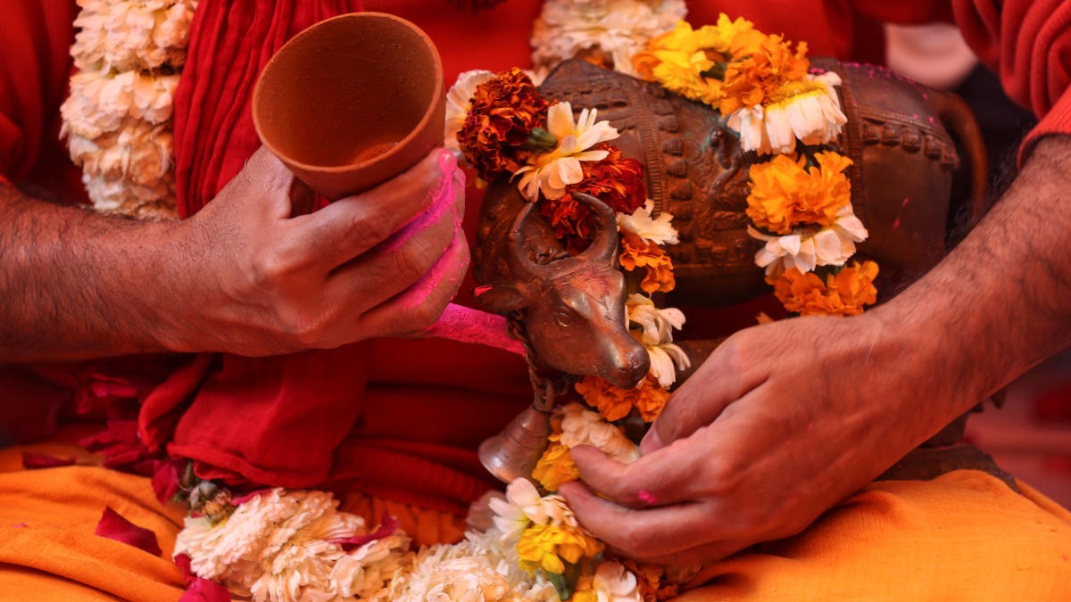 DH Popcorn | Way to gau