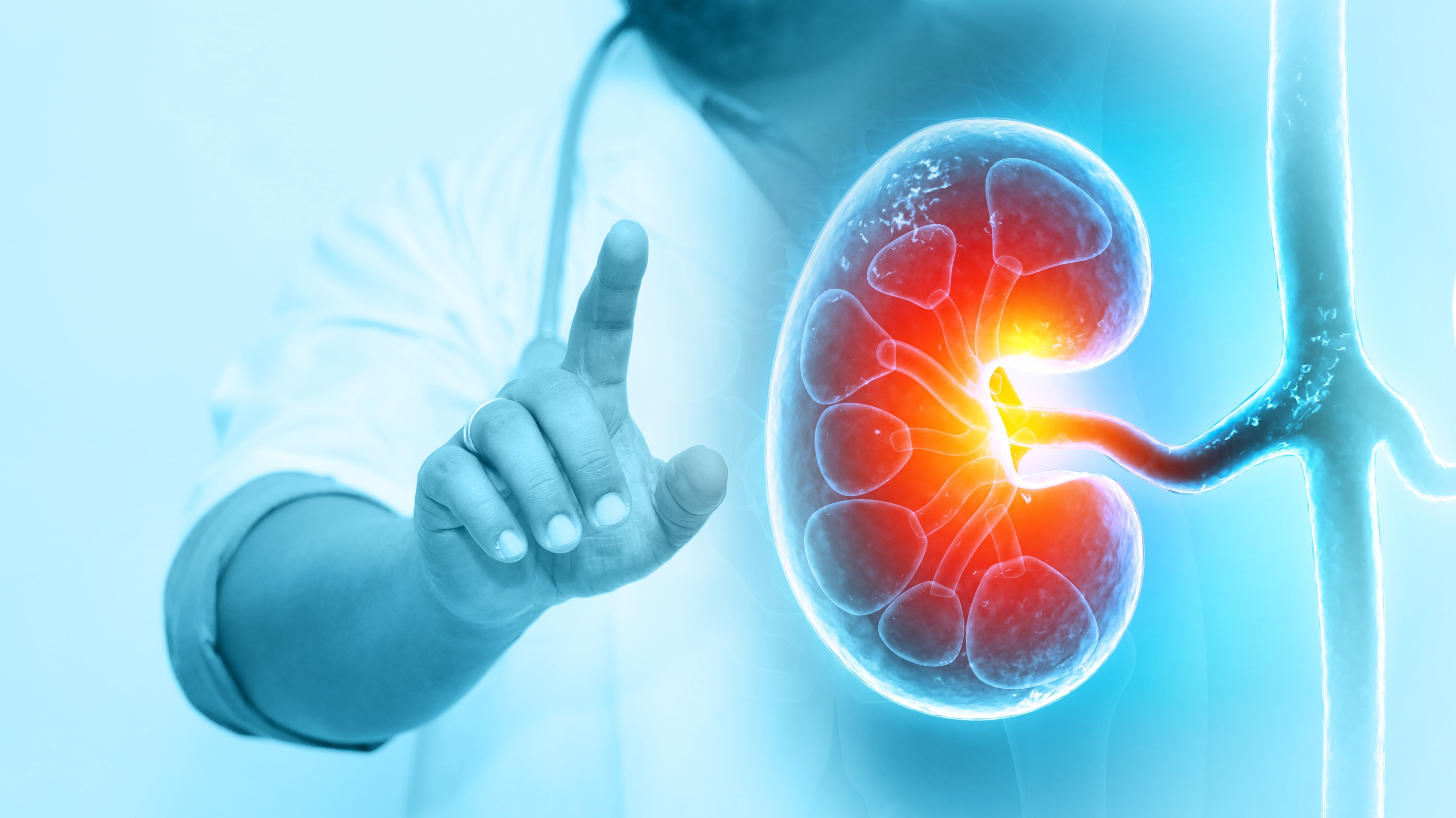 Health: Risks of unexplained kidney disease