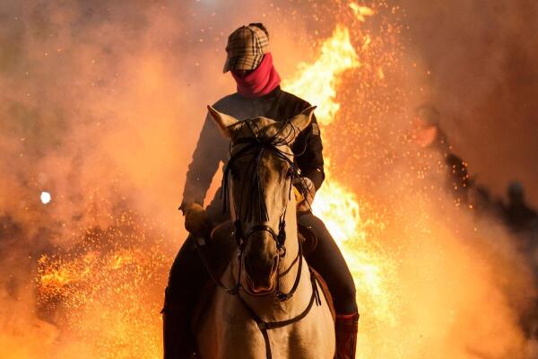 A horseman rides through a bonfire during the annual "Luminarias" celebration on the eve of Saint Anthony's day, Spain's patron saint of animals, in the village of San Bartolome de Pinares, Avila, Spain.