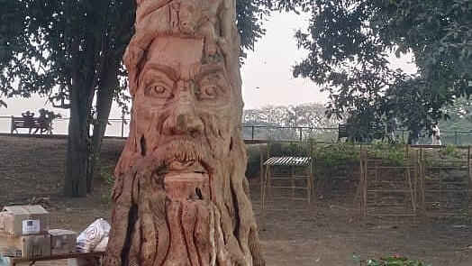 Fallen Lalbagh Trees Transformed into Sculptures in Bengaluru Workshop