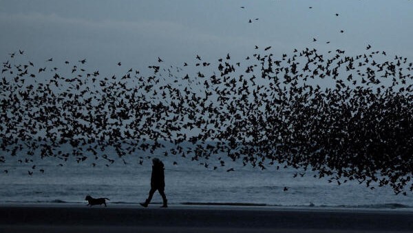 News in Pics | January 17, 2026: Best photos from around the world