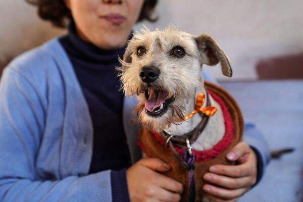 Pets are blessed after a ceremony commemorating the Feast of San Antonio Abad, the patron saint of domestic animals in Mexico City.
