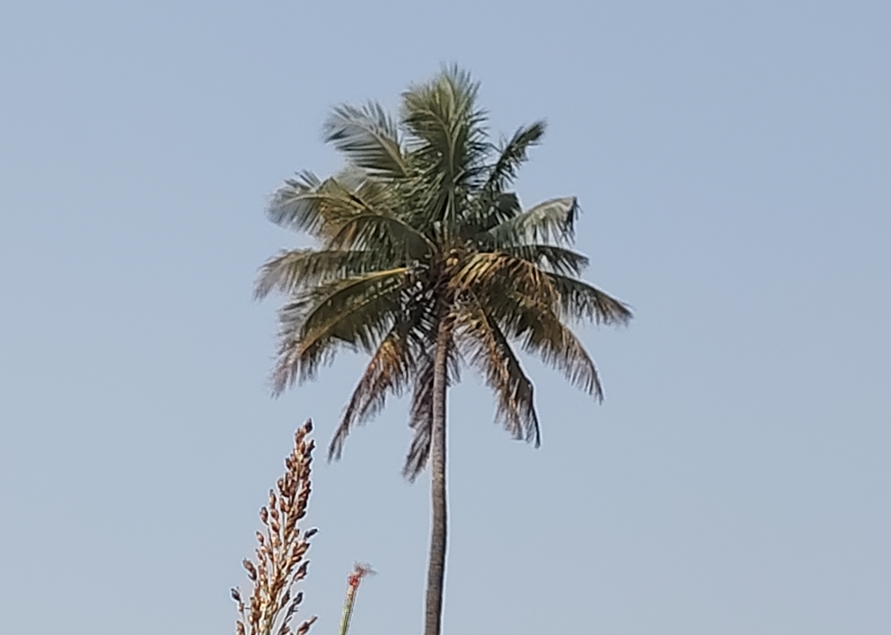 Poco M8 Photo sample with 5X zoom.