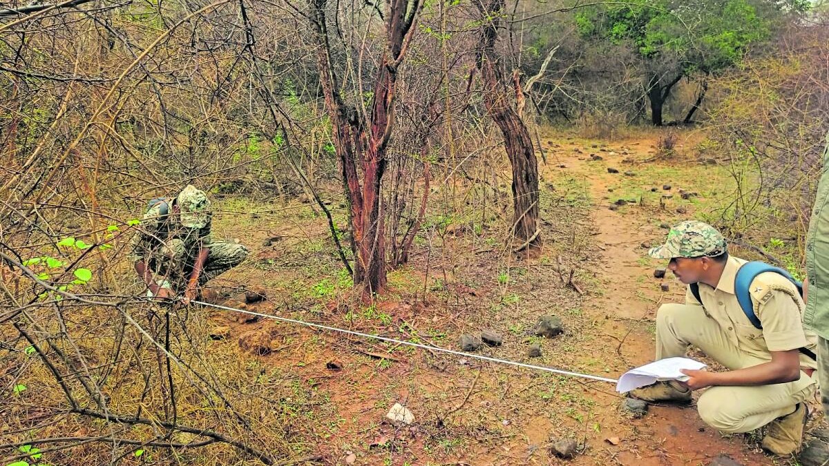 Deploy staff, drone on MM Hills to prevent wildlife attack: Karnataka Forest Minister Khandre