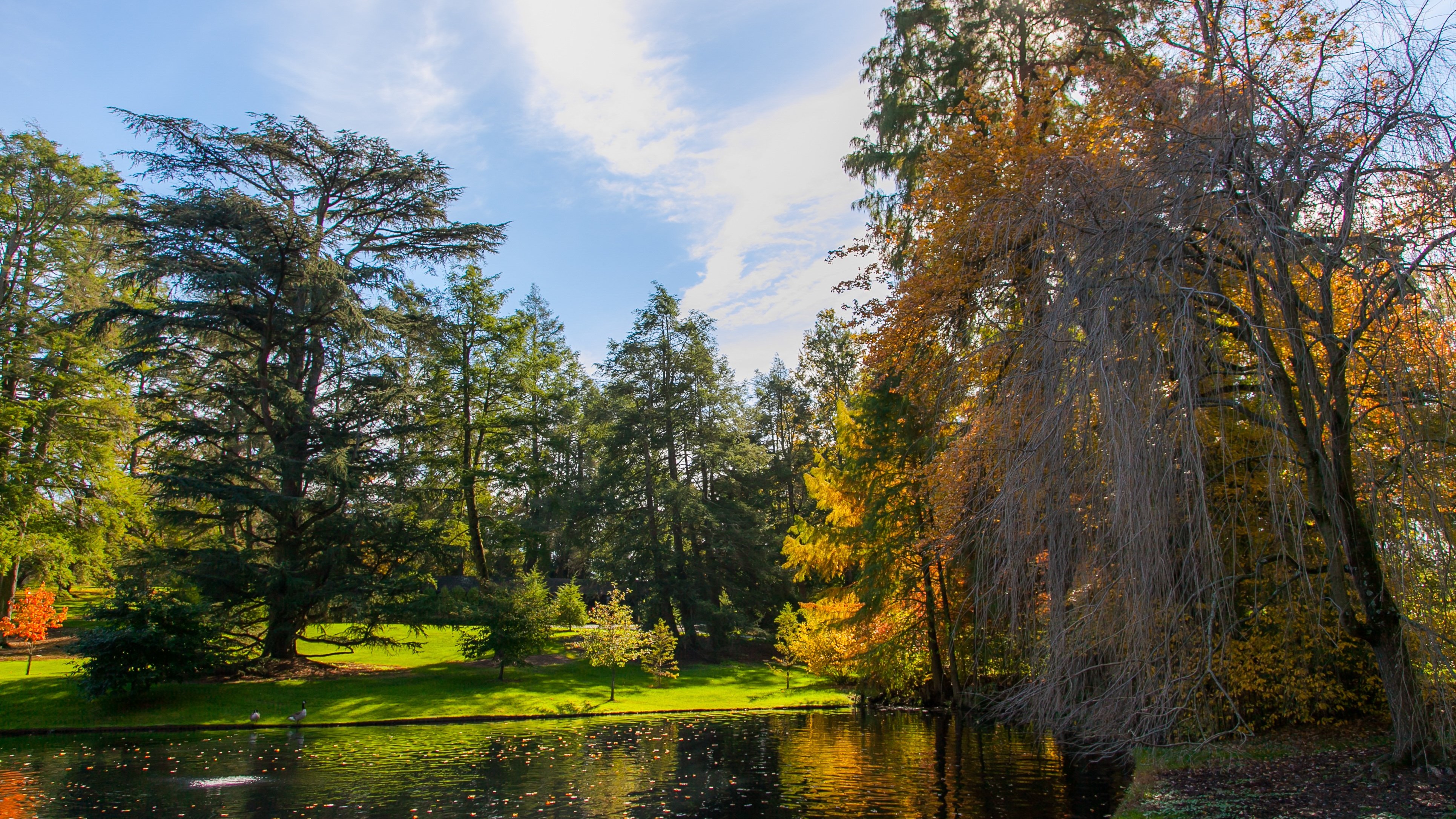 Tapping into American nostalgia