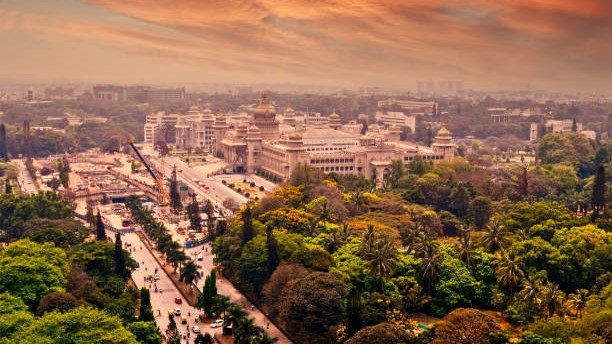 Walking to a symphony at dawn