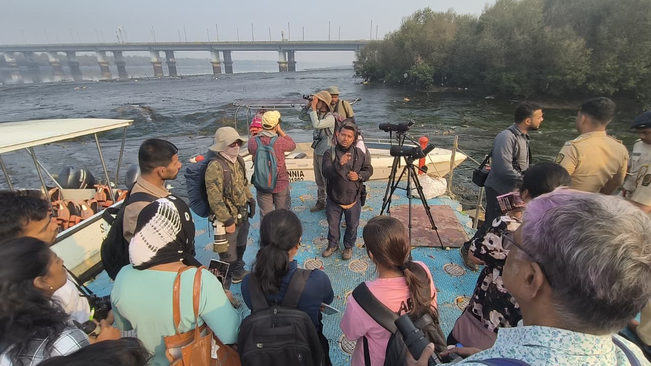 Mangrove Cell conducts Asian Waterbird Census across Mumbai metropolitan region