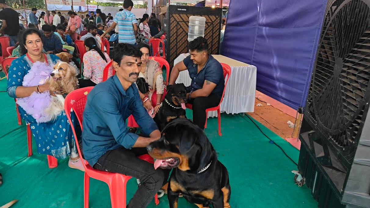 Dog show captivates Mangaluru's heart 