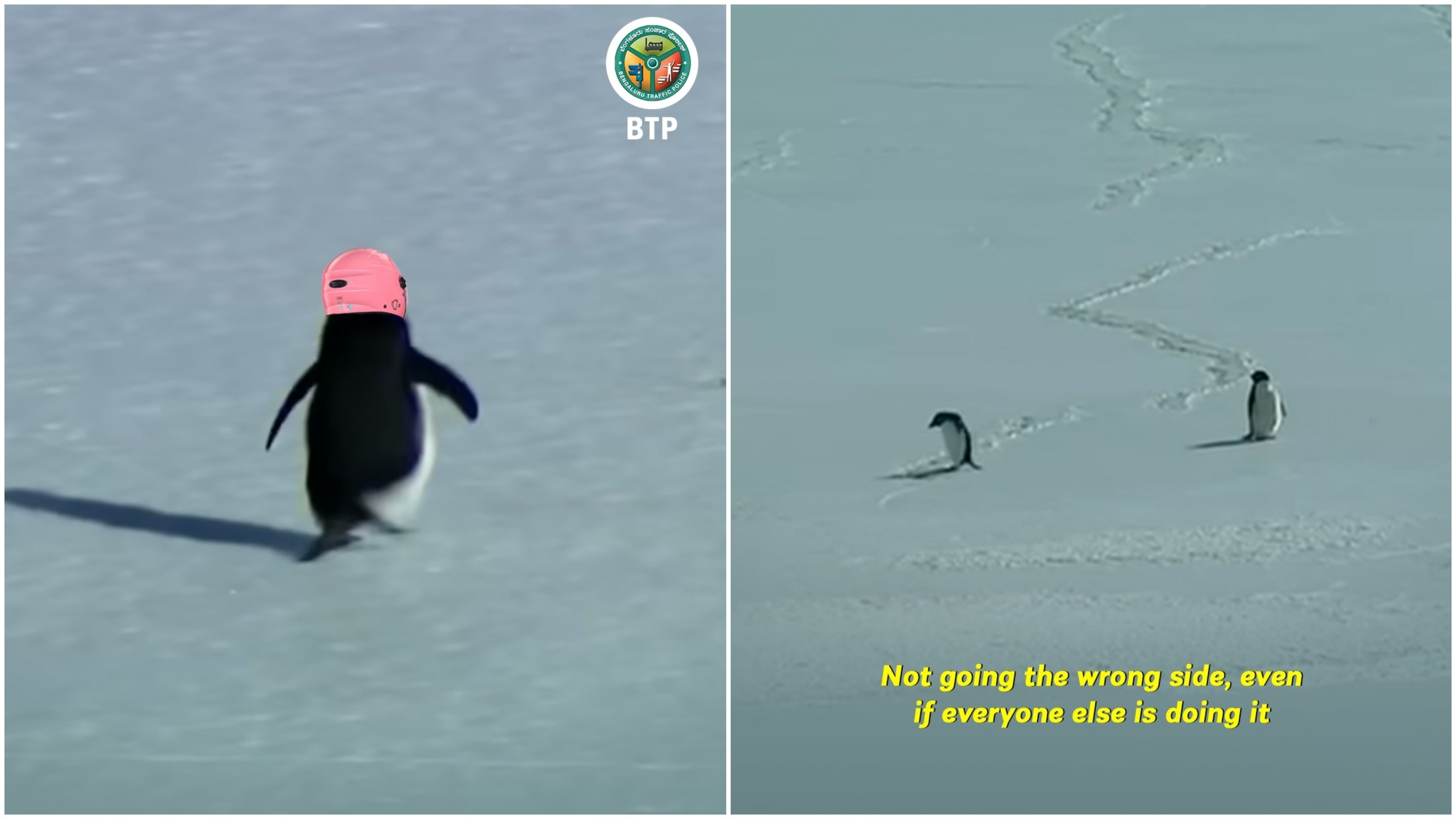 Bengaluru police joins 'Nihilist penguin' trend, raises awareness on road safety