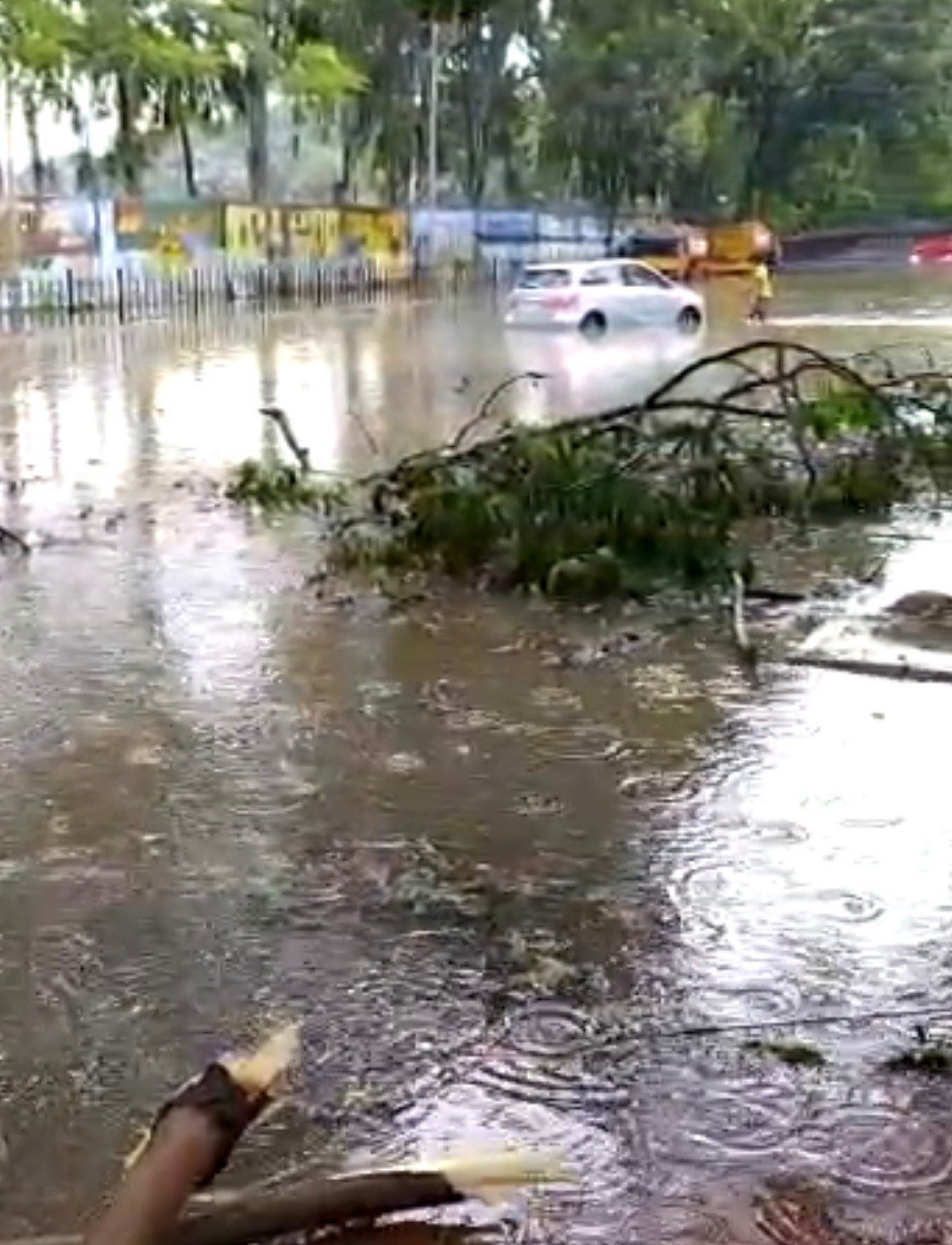 A view of Kanakanapalya in Jayanagar during rain-triggered flooding. 