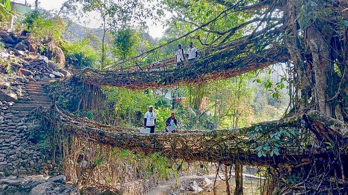 India Submits Meghalaya Living Root Bridges UNESCO Nomination