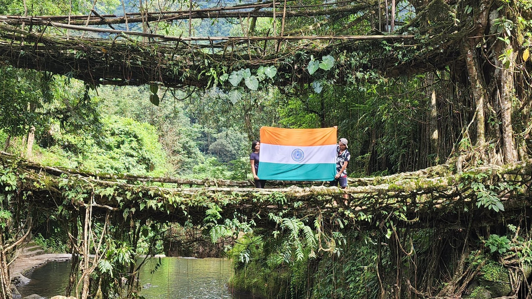 Meghalaya's living root bridge inches closer to UNESCO World Heritage Site tag, dossier submitted