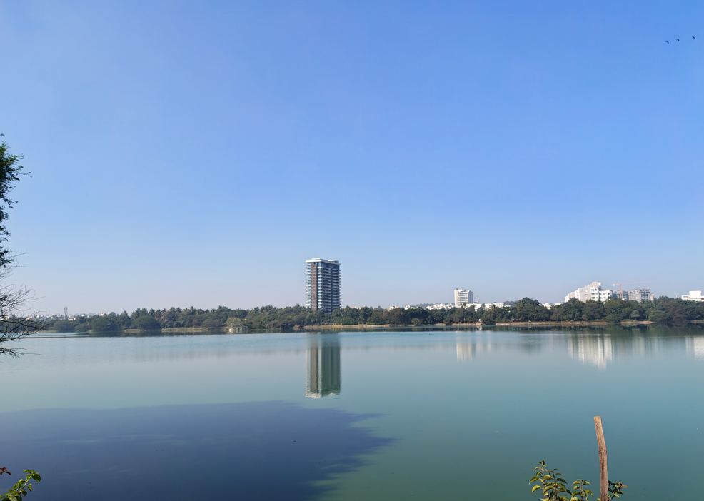 Motorola Signature Camera sample with 1X.