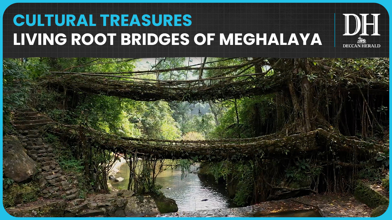 India submits Meghalaya’s living root bridges for UNESCO World Heritage Status 2026-27
