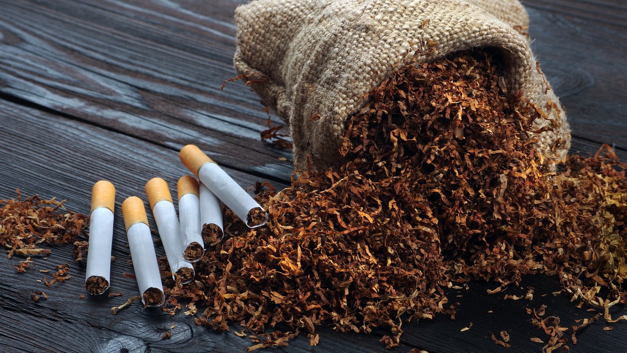 why is tobacco used Smokeless Tobacco why is tobacco used Smokeless Tobacco