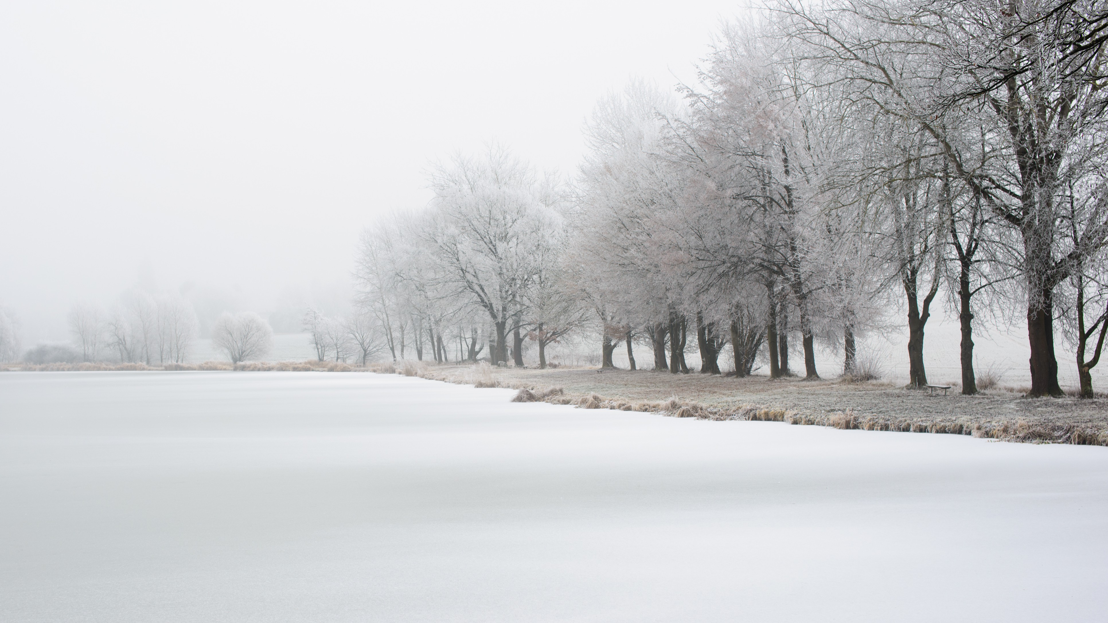 As bravado cracked, love stepped in