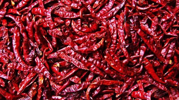 Dry red chilli prices shoot up to Rs 78,000 per quintal in Karnataka as area, production shrink