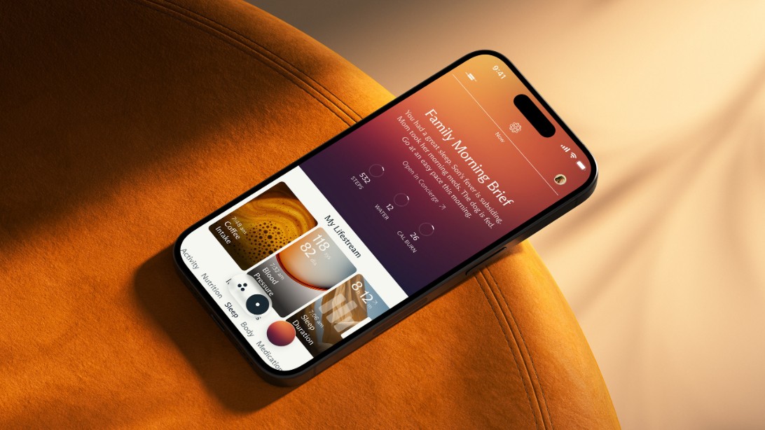 Fitbit founders launch new AI application Luffu for families to track health