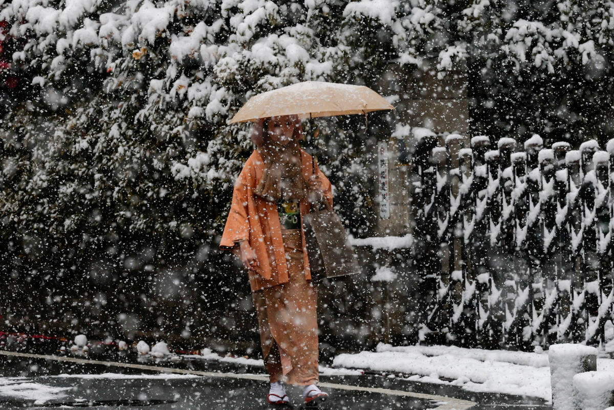 A voter wearing a traditional kimono walks to a polling station to vote for a general election in Tokyo, Japan, February 8, 2026. 