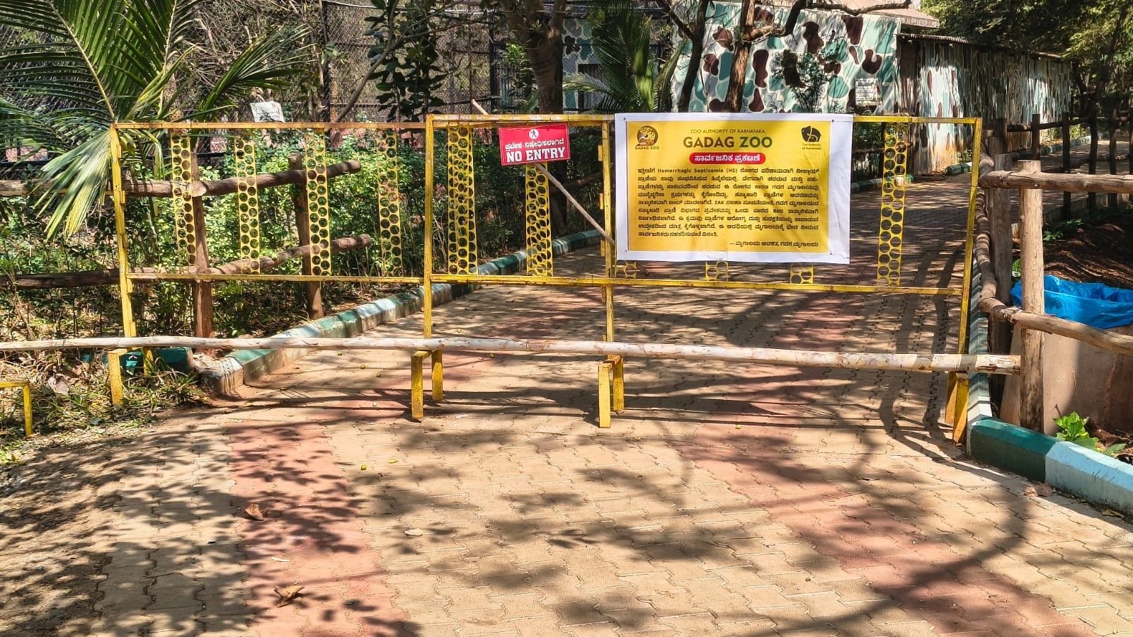 Nilgai dies of bacterial infection at Gadag zoo in Karnataka