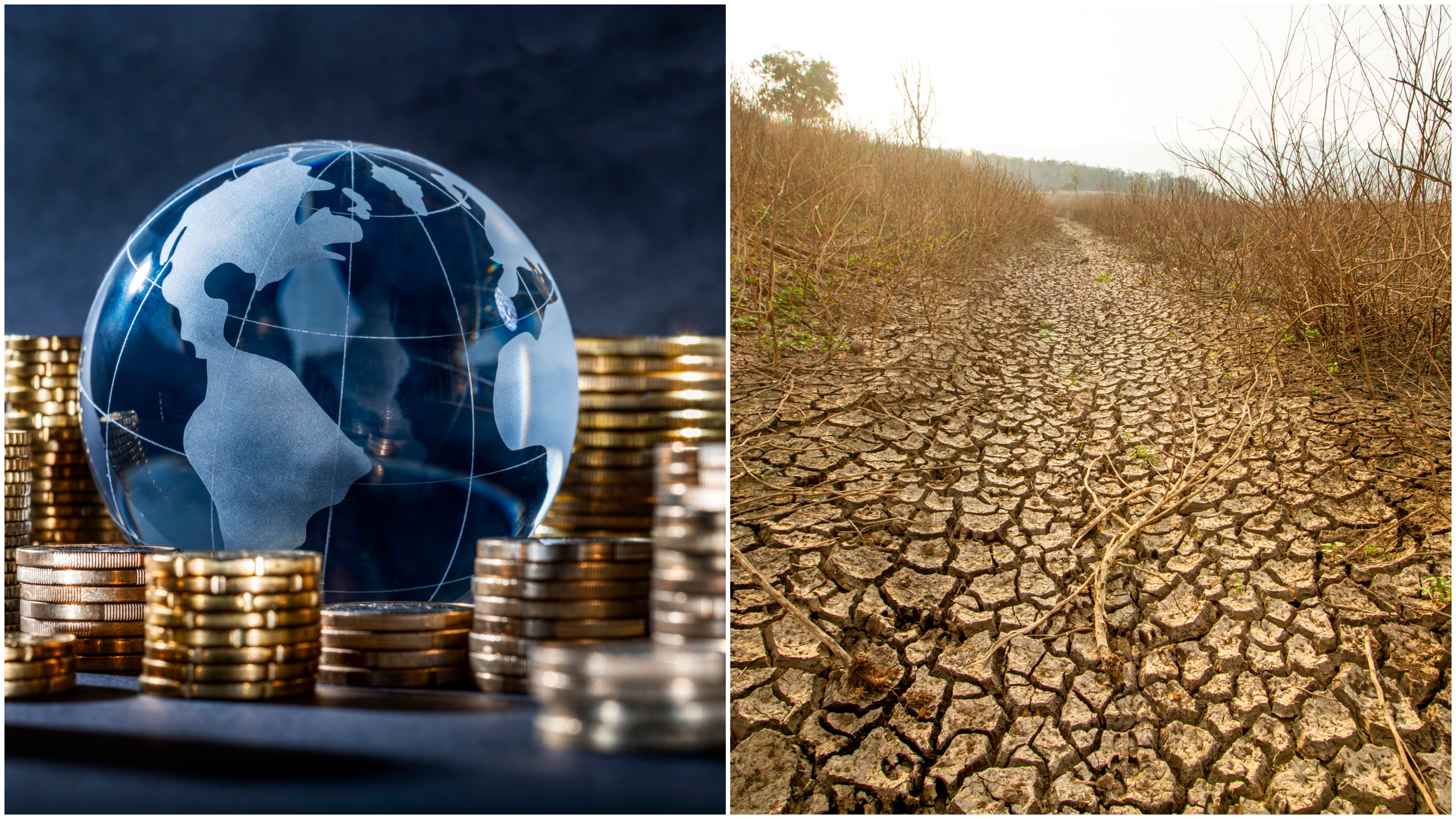 Landmark report shows global economy driving biodiversity loss, putting human life at risk