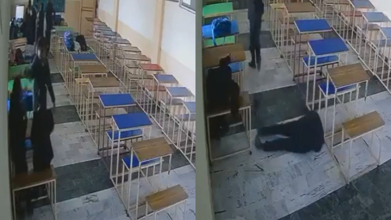 Punjab: Law student kills woman classmate inside classroom, later shoots self