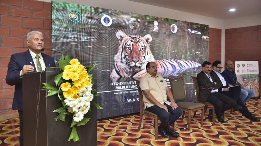 International Big Cat Alliance Summit begins in Bandipur; focuses on protecting seven species