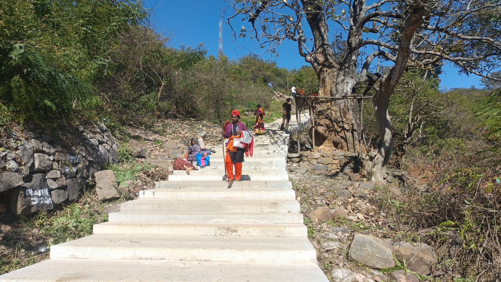 Karnataka: 7 teams, 2 patrol vehicles deployed to guard MM Hills' padayatra devotees 