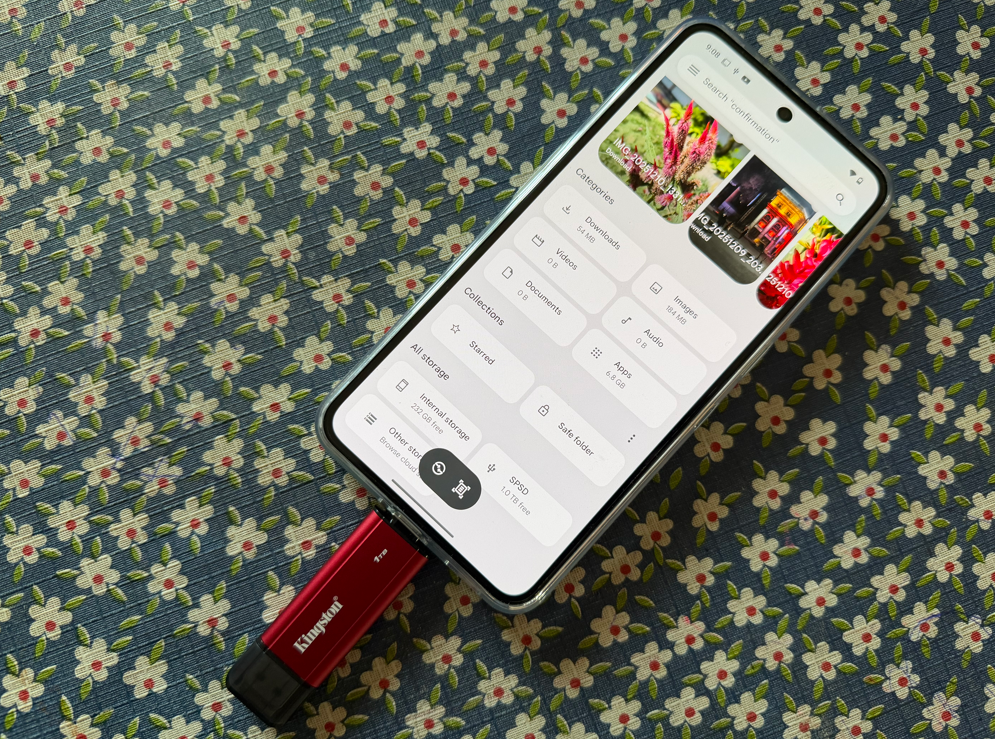 Kingston Dual Portable SSD storage.