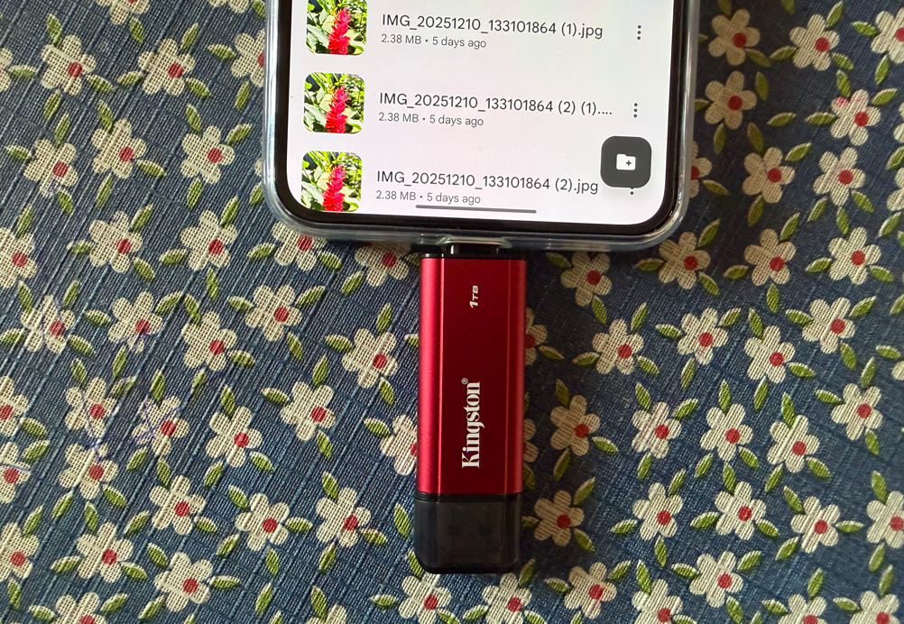 Kingston Dual Portable SSD storage.