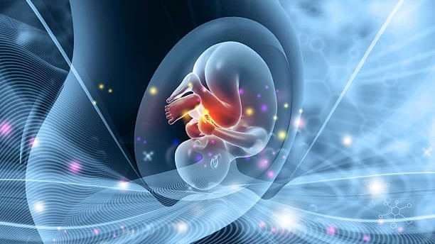 Want a tall, smart child? How IVF tests are selling a dream