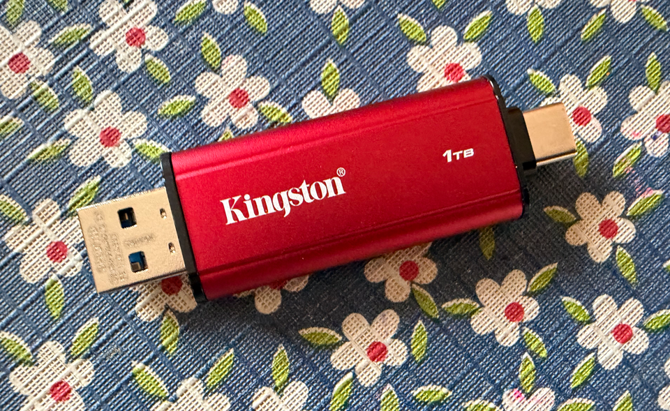 Kingston Dual Portable SSD storage.