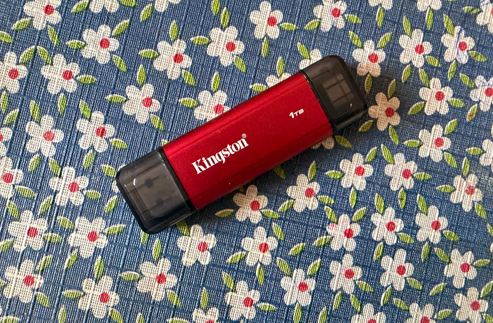 Kingston Dual Portable SSD storage.