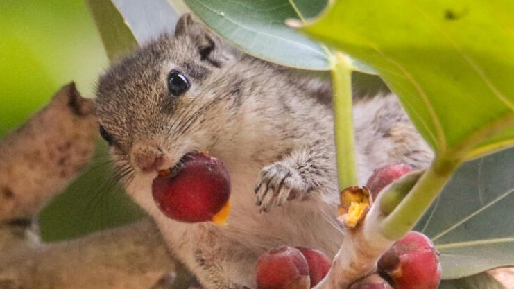 News in Pics | February 11, 2026: Best photos from around the world