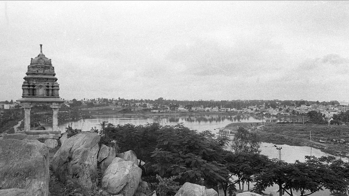 Beyond Bengaluru's Concrete: The Living Terrain in Its Ancient Names