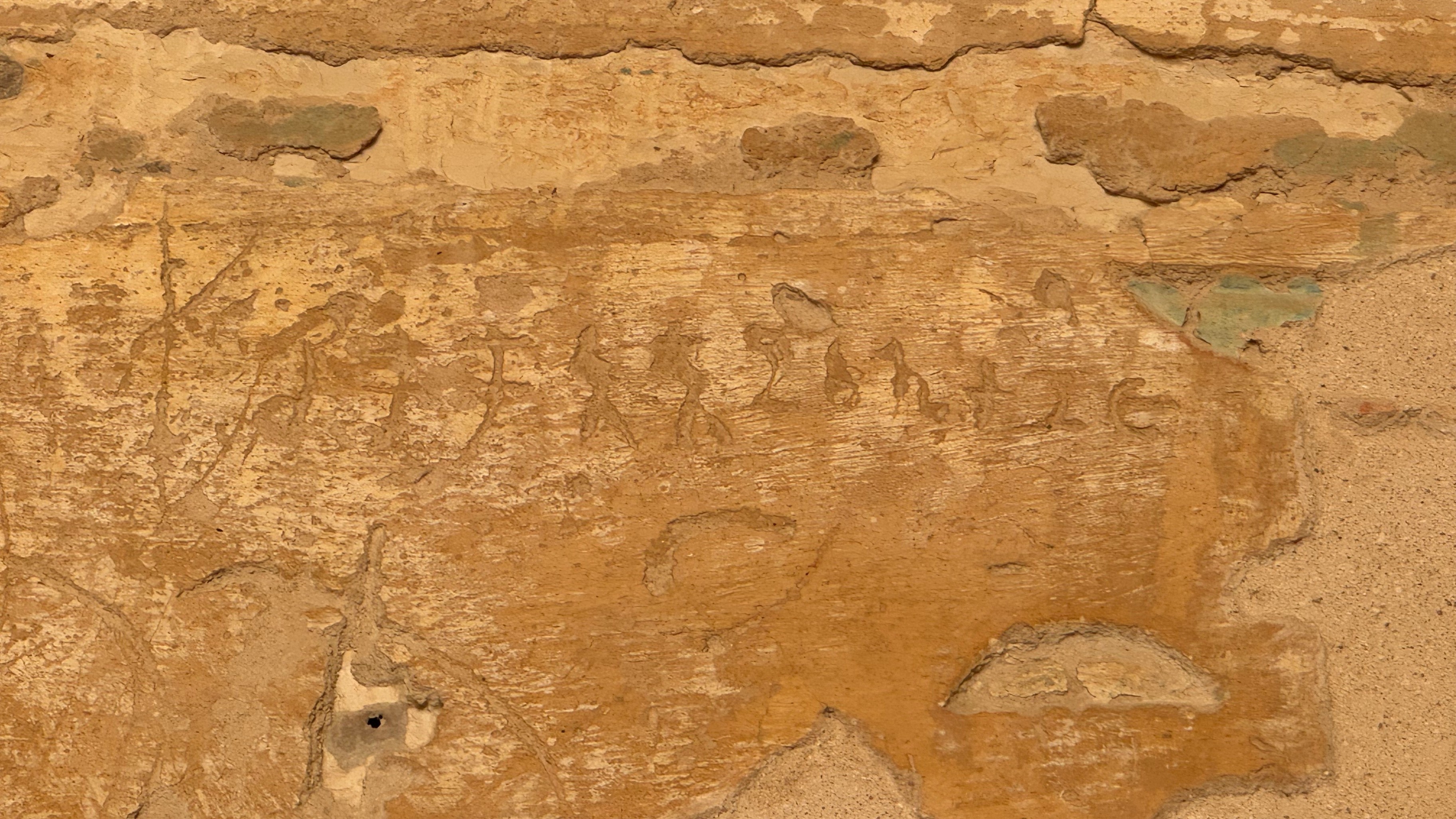 Thirty Tamili and Prakrit scripts reveal 2,000-year-old India-Egypt trade