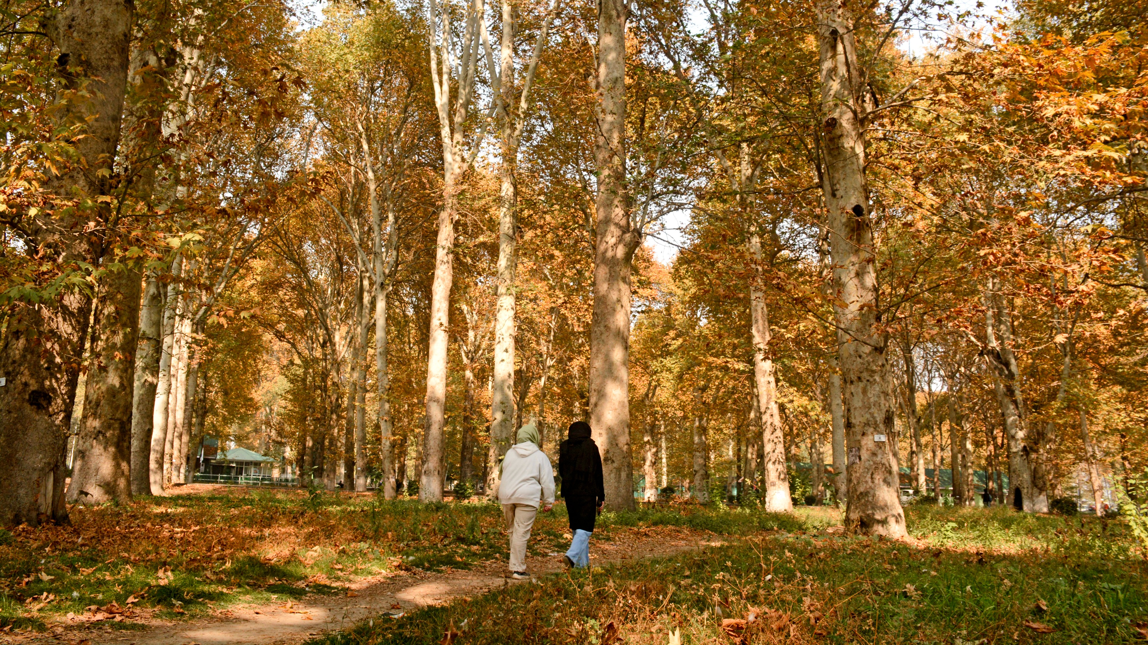 From myth to reality: How Kashmiri youth perceive Pakistan today