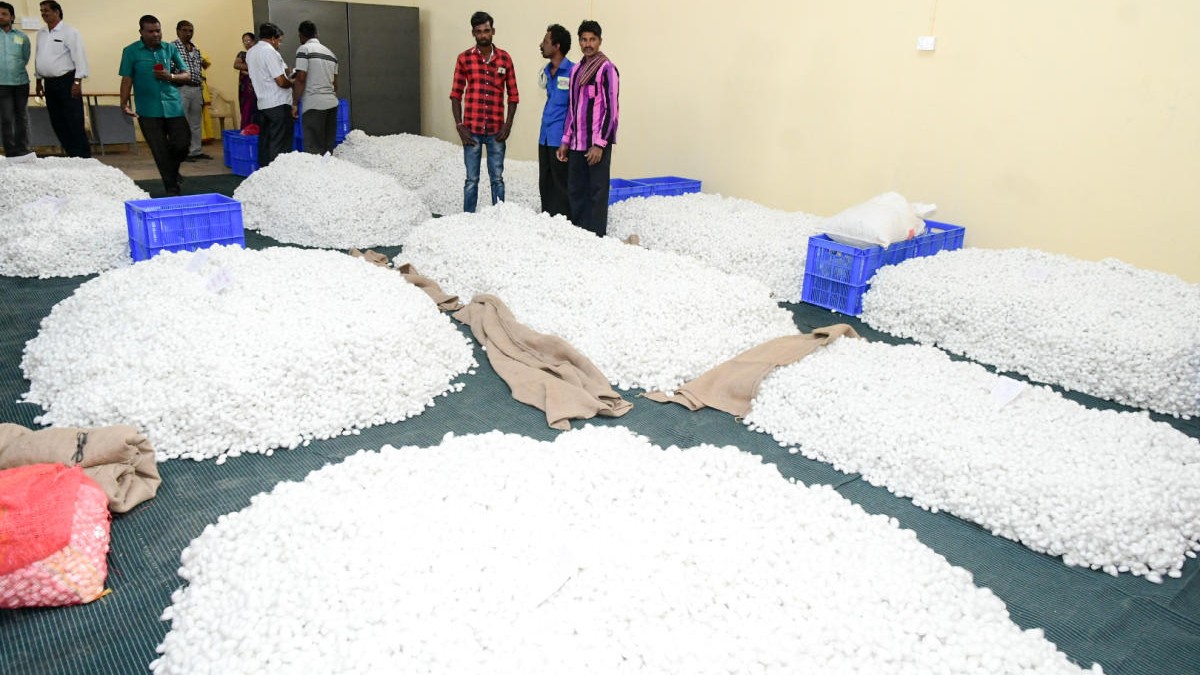 Mysuru to get hi-tech silk cocoon market soon; two acres land identified