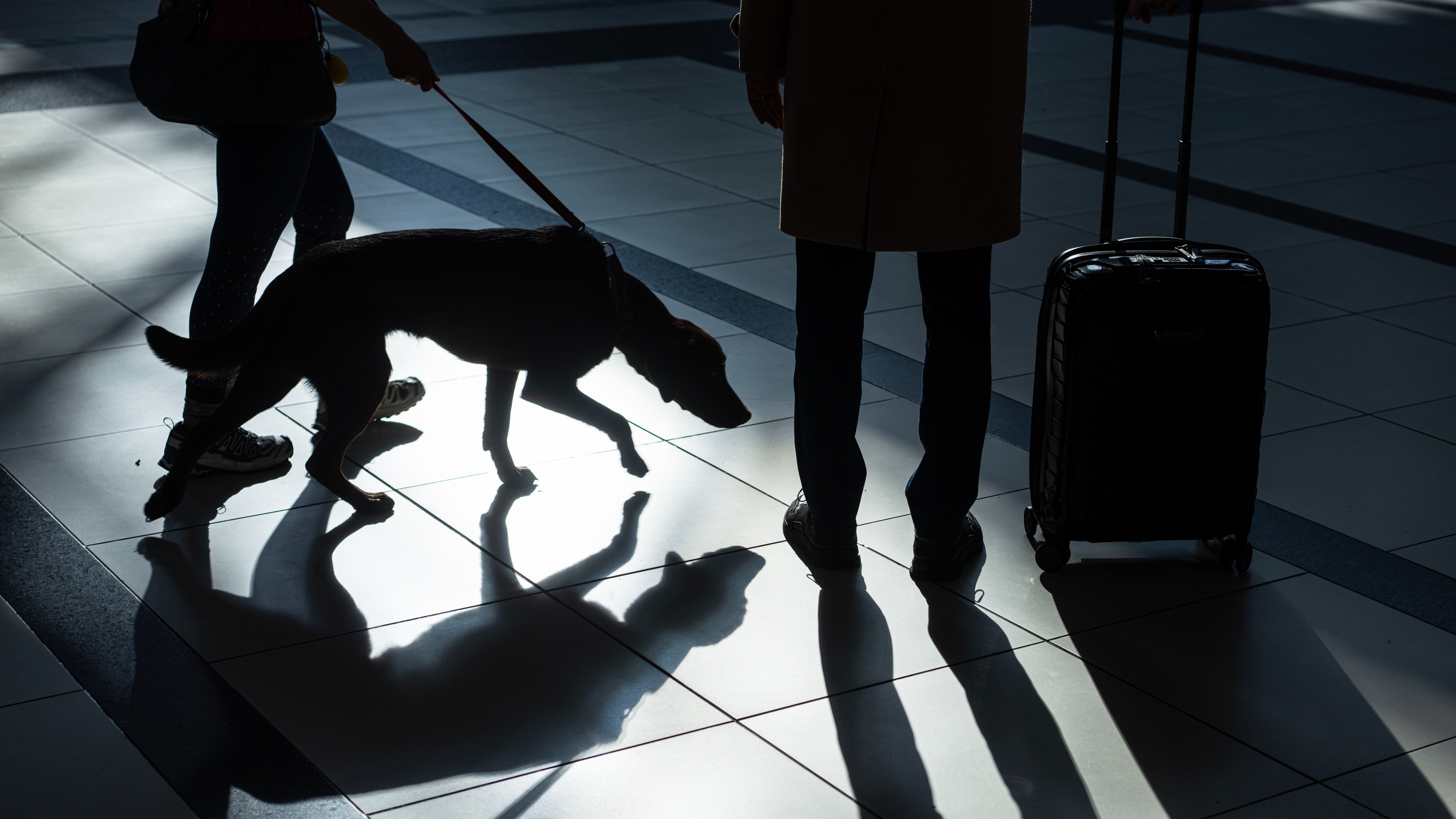 Manipur's Tangkhul Hui, Kombai of Tamil Nadu to boost sniffer power of Assam Rifles