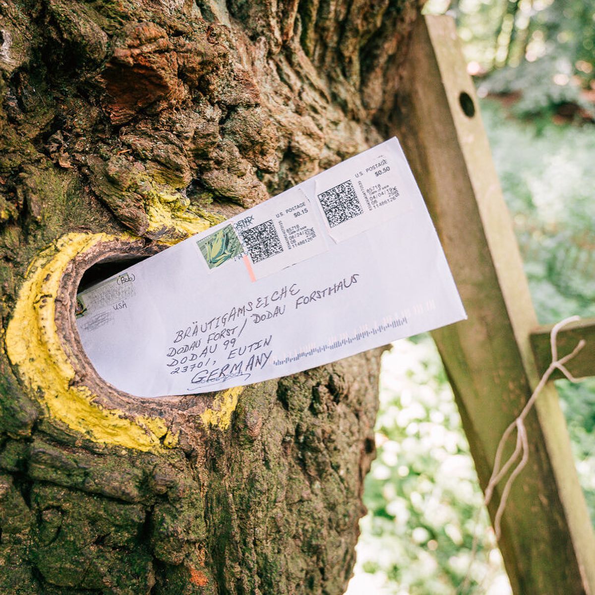 A letter in the hollow of the Bridegroom’s Oak tree.