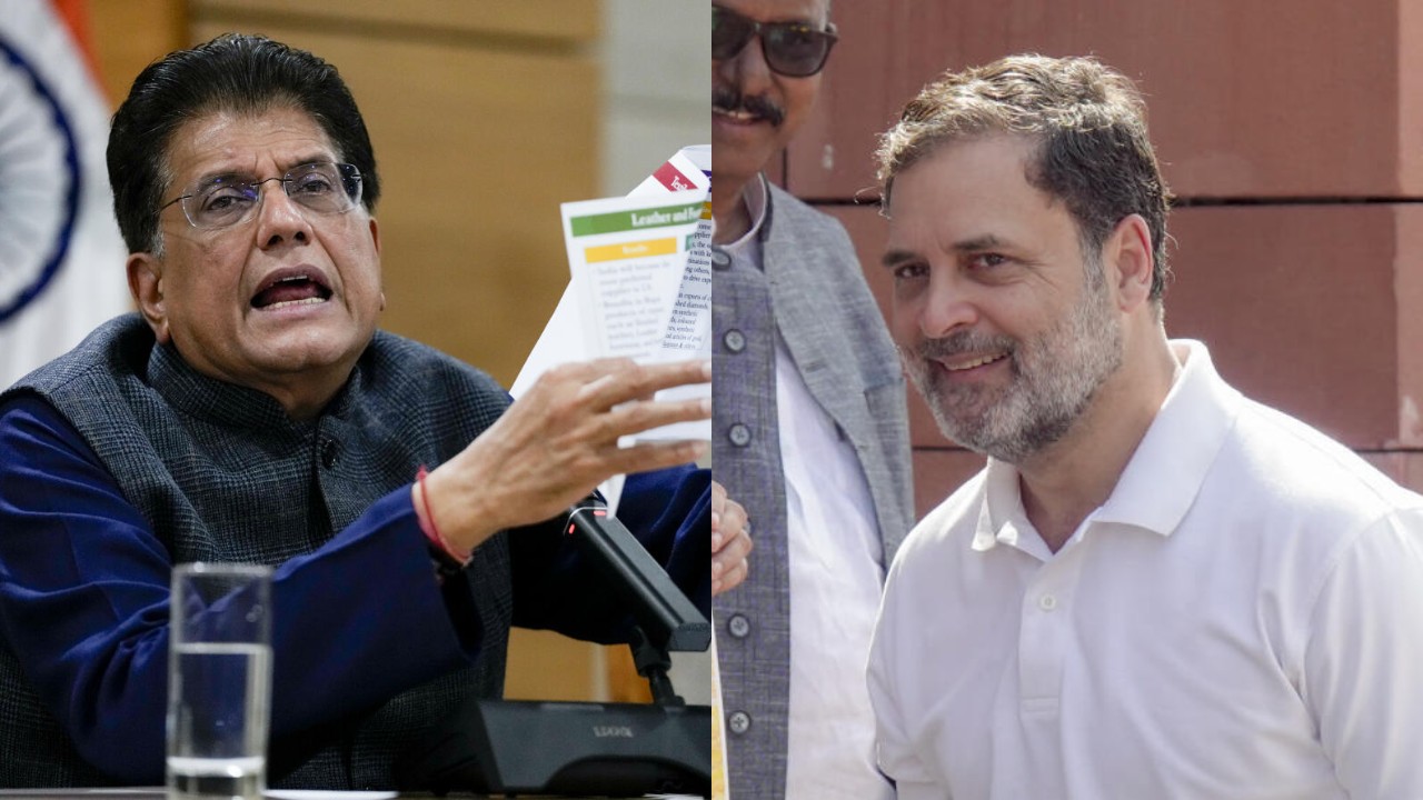 Rahul Gandhi immature, lacks understanding of economy, says Piyush Goyal on Congress leader's textile remarks