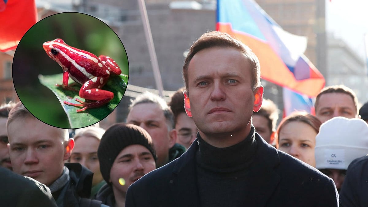 UK, allies say Russian Opposition leader Alexei Navalny was 'poisoned' by ...