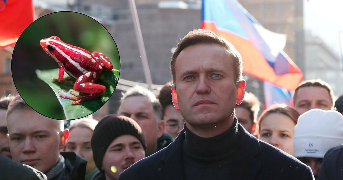 UK, allies say Russian Opposition leader Alexei Navalny was 'poisoned' by ...