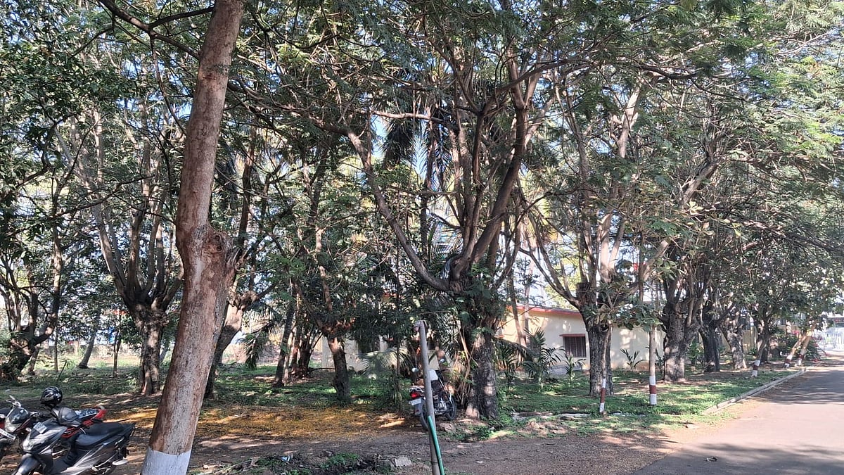 Biodiversity Survey Finds 40 Bird Species, 552 Trees on KSIC Land Slated for Stadium in T Narsipur