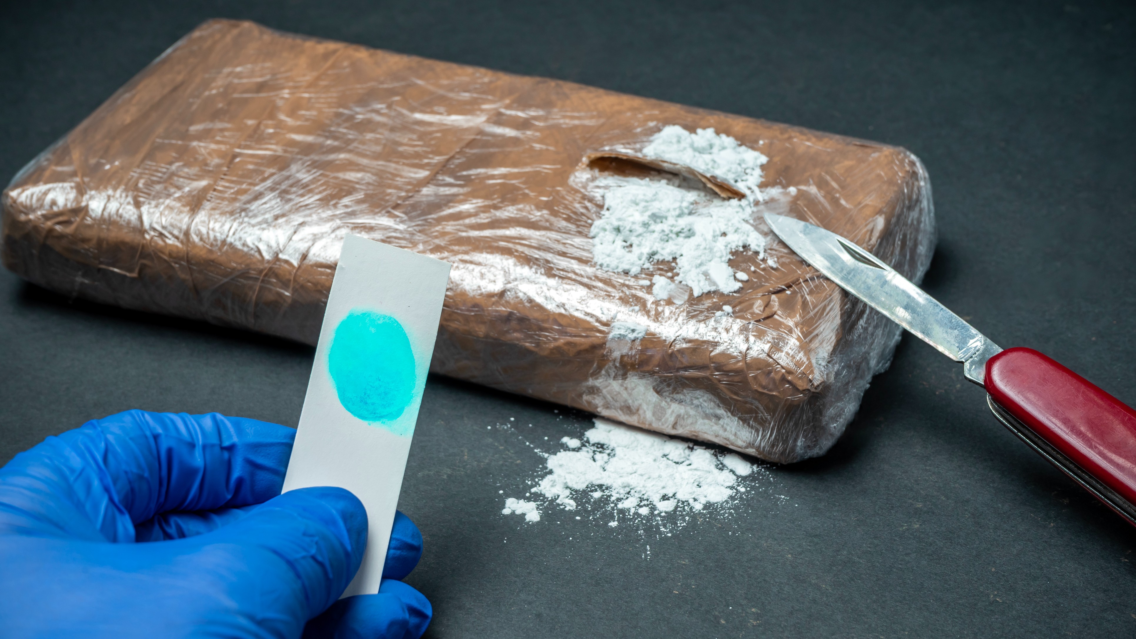 Drugs worth Rs 21.50 crore seized in Bengaluru, 15 peddlers including three foreign nationals held 